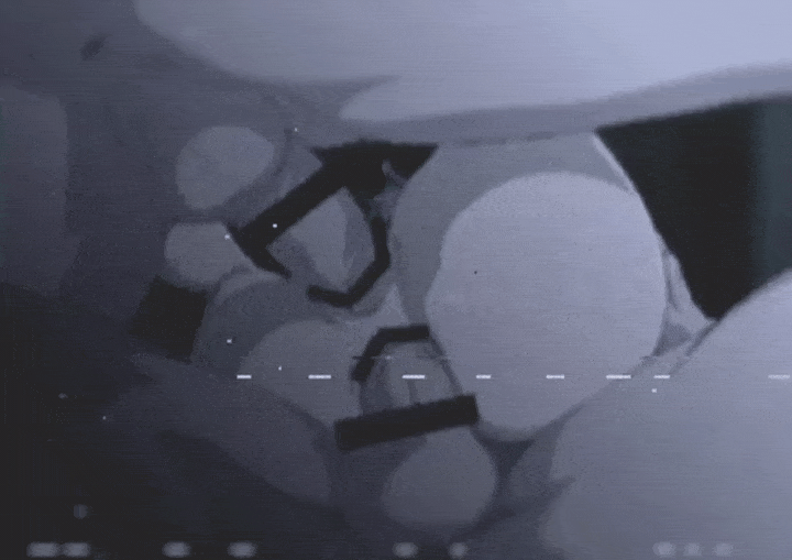 Double Teamed by Two Monsters in Raw Animated Hentai