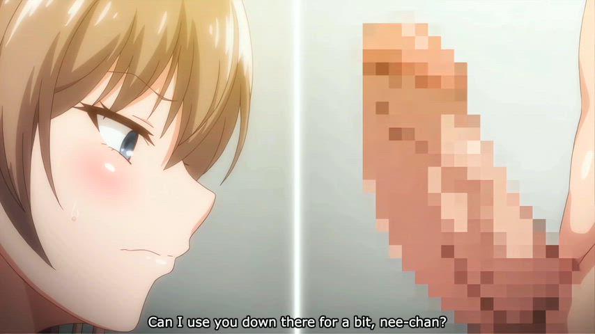 Bro has a strong sex drive towards his nee-san [uchi no otouto maji de dekain dakedo mi ni konai]