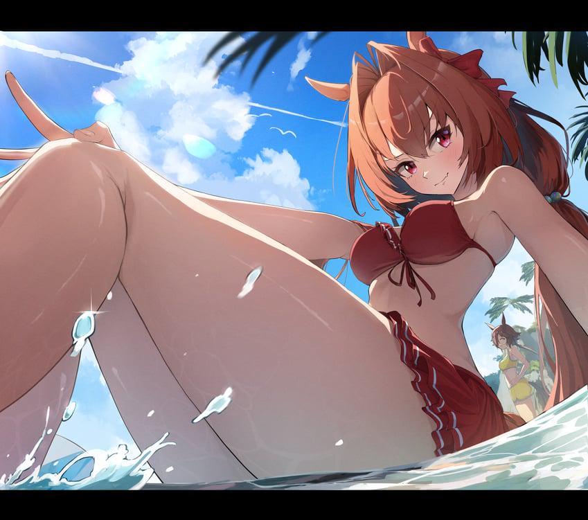Daiwa Scarlet at the beach [umamusume] (no 842)