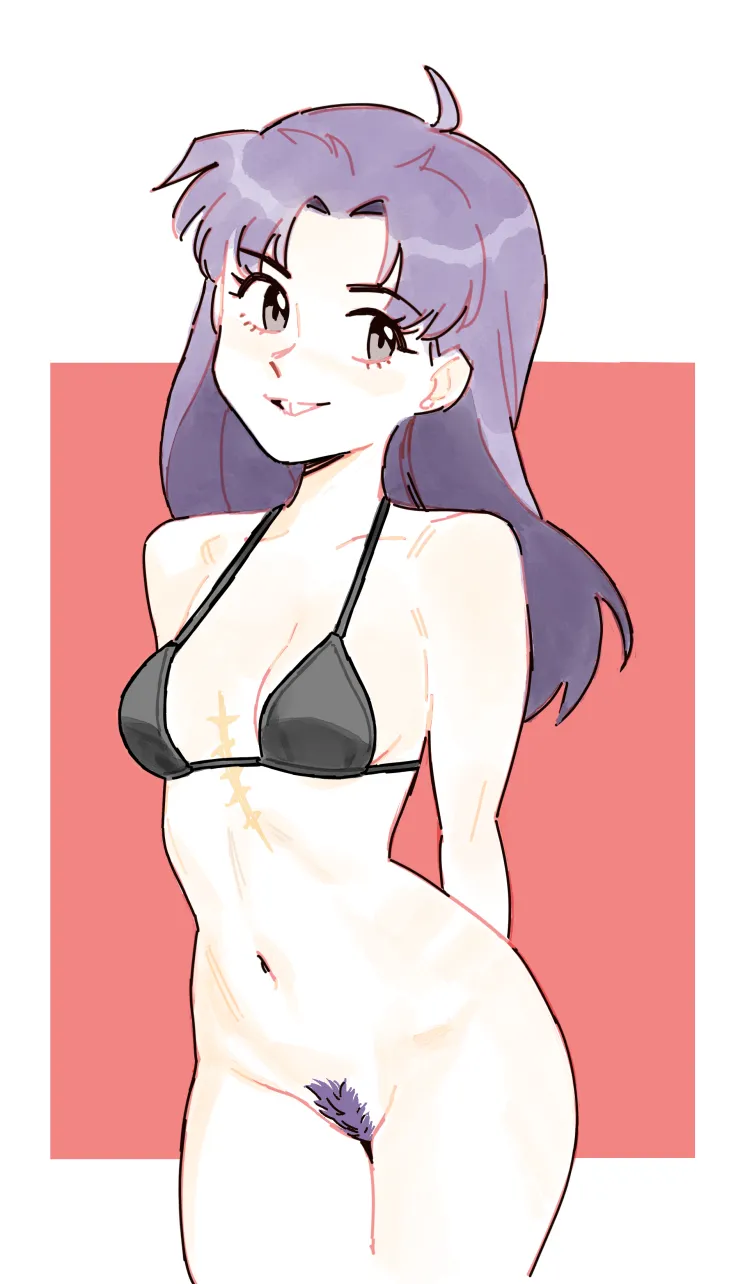 Misato Art by Sineprin